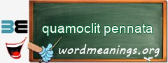 WordMeaning blackboard for quamoclit pennata